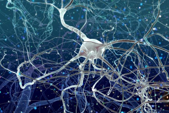 how does tms therapy work